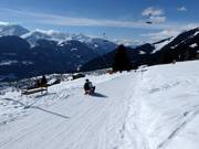 Tipp für die Kleinen  - Rodelbahnen