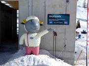 Tipp für die Kleinen  - Wolli Anfängerpark Sunnegga