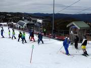 Bourke Street Carpet - Förderband