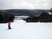 Der Skihang von der Bergstation aus