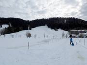 Blick vom Übungslift zum Schlepplift und Hauchenberg