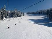 Die breite FIS Abfahrt