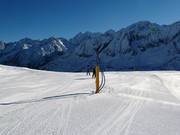 Perfekte Beschneiung