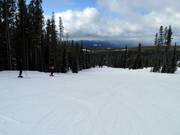 Leichte Piste Hummingbird am Plaza Chair