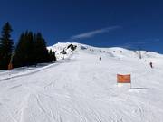 Übungshang am Tellerlift Sücka