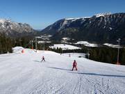 Für fortgeschrittene Anfänger: FIS-Abfahrt