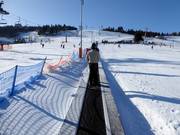 Das Förderband Bartuś ist ideal für Anfänger