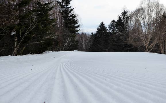 Pistenpräparierung Prince Snow Resorts – Pistenpräparierung Furano