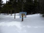 Lustige Waldabfahrt für Kinder