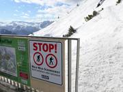Wald-Wild-Schongebiet an der Bergstation