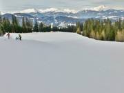 Mittlerer Teil der Familienabfahrt