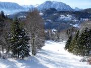 Blick aus der Gondelbahn auf die FIS-Abfahrt
