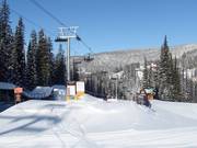 Bannister Night Park