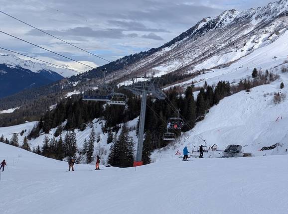 Morel - © Michael Medek - Foto: Michael Medek