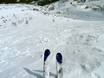 Skigebiete für Könner und Freeriding Kanadische Rocky Mountains – Könner, Freerider Castle Mountain