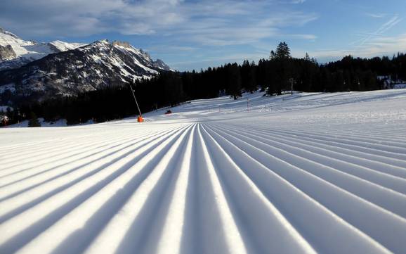 Pistenpräparierung Toggenburg – Pistenpräparierung Wildhaus – Gamserrugg (Toggenburg)