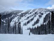 Blick auf die Pisten Silver King