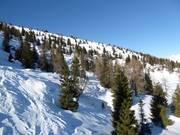 Freeride-/Tiefschneegebiete am Monte Agaro