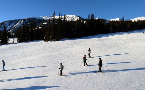 Skigebiete für Anfänger im Jasper-Nationalpark – Anfänger Marmot Basin – Jasper