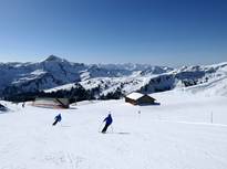 Bilder Damüls Mellau