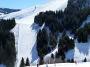 Blick auf die Piste Nr. 62 Bärenbadkogel 1