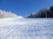 Mittelschwere Piste an der Großen Almberg-Sesselbahn