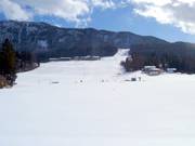 Blick auf die Pisten in Thiersee-Mitterland