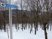 Ausgeholzte Waldabfahrt La Boréale