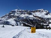 Schneilanze in Arabba