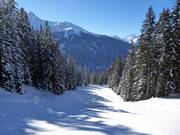 Mittelschwere Piste Langried