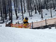 Beschneite Talabfahrt