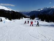 Leichte Pisten am Übungslift Caischavedra