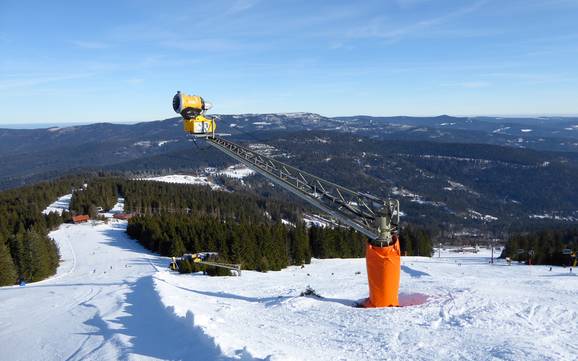 Schneesicherheit Zwieseler Winkel – Schneesicherheit Arber