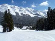 Leichte Abfahrt Rabbit Flats