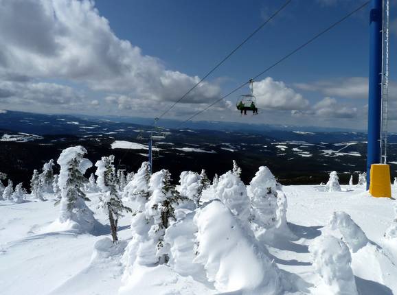 Die Snow Ghosts (Schneegeister) von Big White