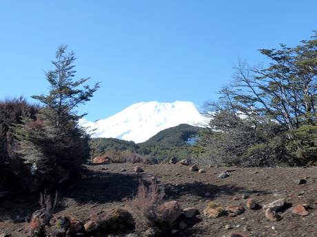 Manawatu-Wanganui: Umweltfreundlichkeit der Skigebiete – Umweltfreundlichkeit Tūroa – Mt. Ruapehu