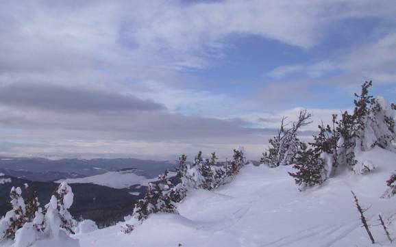 Höchstes Skigebiet auf dem Interior Plateau – Skigebiet Apex Mountain Resort