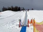 Geigenbühellift III - Förderband/Zauberteppich