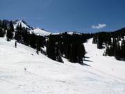 Die Pisten in der Prospect Bowl