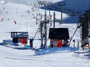 Baby Merlan - Tellerlift