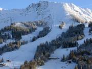 Schwarze ATA Trainingsstrecke