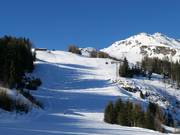 Waldalmpiste mit Waldalmbahn