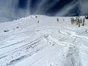 Unendliche Tiefschneehänge