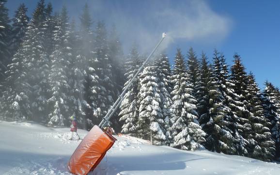 Schneesicherheit Tschechisches Erzgebirge – Schneesicherheit Keilberg (Klínovec)