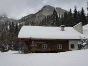 Buchaueralm an der Talabfahrt