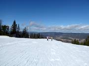 Gipfel auf 546 m im Skigebiet Varingskollen