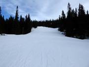 Leichte Abfahrt Pers