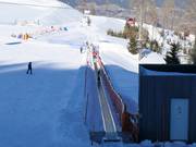 Zauberteppich Goldeck - Förderband/Zauberteppich