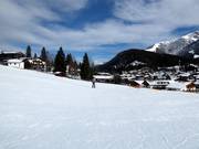 Leichte Pisten im Skigebiet der Birkenlifte & Geigenbühel