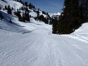 Leichte Piste Hühnerspiel-Lochstafel